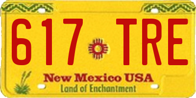 NM license plate 617TRE
