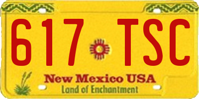 NM license plate 617TSC