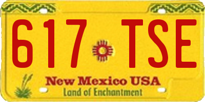NM license plate 617TSE