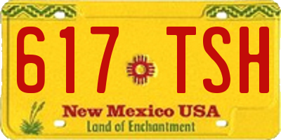 NM license plate 617TSH