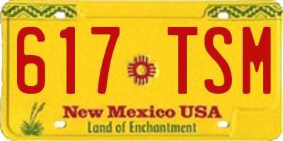NM license plate 617TSM