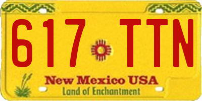 NM license plate 617TTN