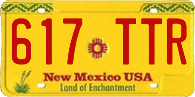 NM license plate 617TTR