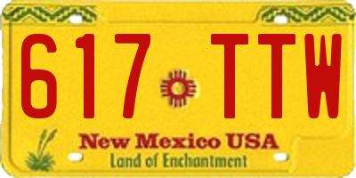 NM license plate 617TTW