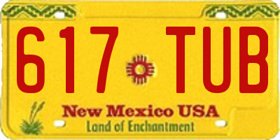 NM license plate 617TUB