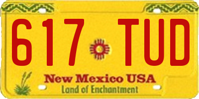 NM license plate 617TUD