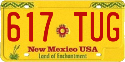 NM license plate 617TUG