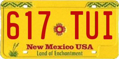 NM license plate 617TUI