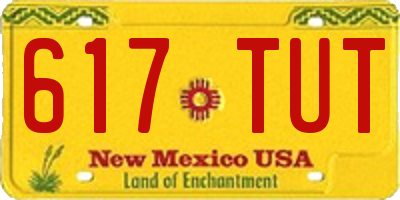 NM license plate 617TUT