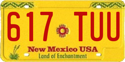 NM license plate 617TUU
