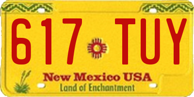 NM license plate 617TUY