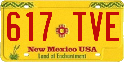 NM license plate 617TVE