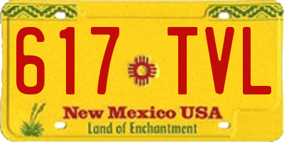 NM license plate 617TVL