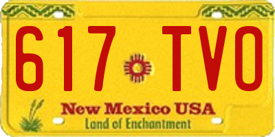 NM license plate 617TVO