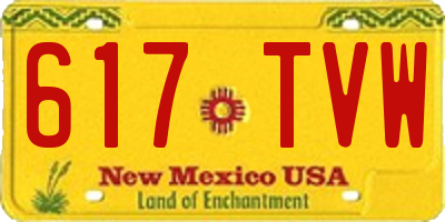 NM license plate 617TVW