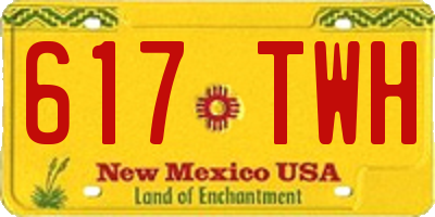 NM license plate 617TWH