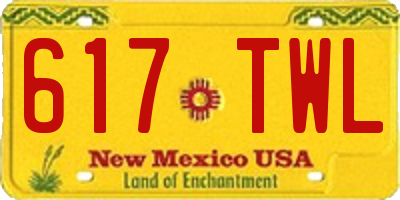 NM license plate 617TWL
