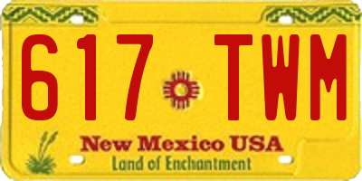 NM license plate 617TWM