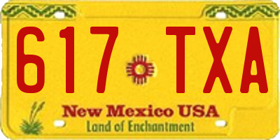 NM license plate 617TXA