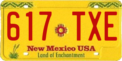 NM license plate 617TXE