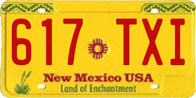 NM license plate 617TXI