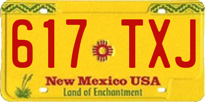 NM license plate 617TXJ