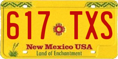 NM license plate 617TXS