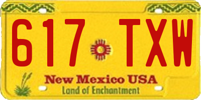 NM license plate 617TXW