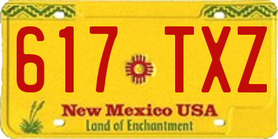 NM license plate 617TXZ