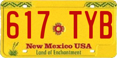 NM license plate 617TYB