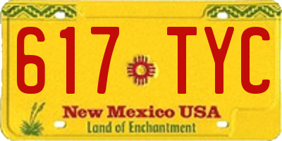 NM license plate 617TYC