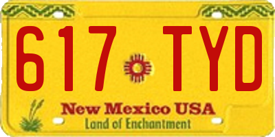 NM license plate 617TYD