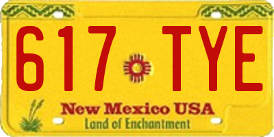 NM license plate 617TYE