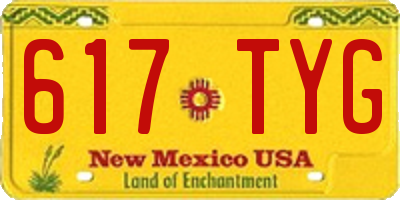 NM license plate 617TYG