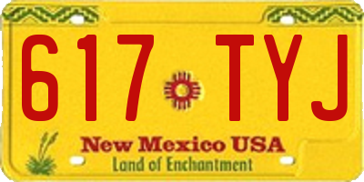 NM license plate 617TYJ