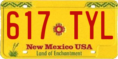 NM license plate 617TYL