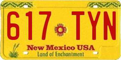 NM license plate 617TYN