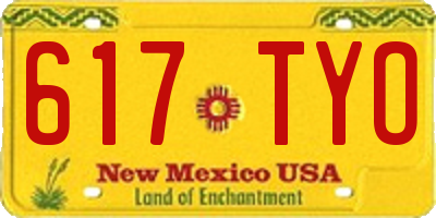 NM license plate 617TYO