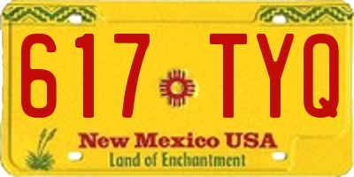 NM license plate 617TYQ