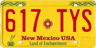 NM license plate 617TYS