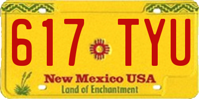 NM license plate 617TYU