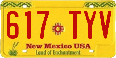 NM license plate 617TYV