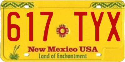 NM license plate 617TYX