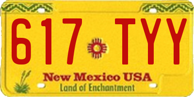 NM license plate 617TYY