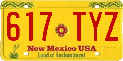 NM license plate 617TYZ