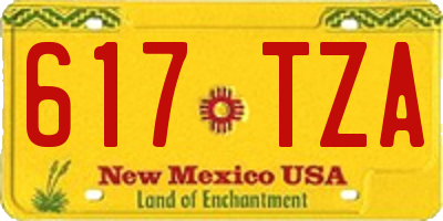 NM license plate 617TZA