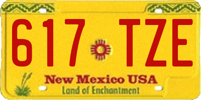 NM license plate 617TZE