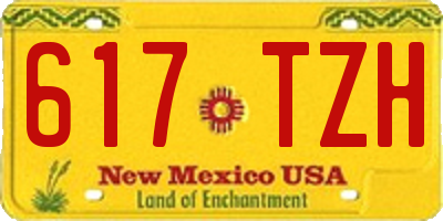 NM license plate 617TZH