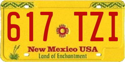 NM license plate 617TZI
