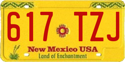 NM license plate 617TZJ